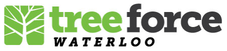 TreeForce Waterloo